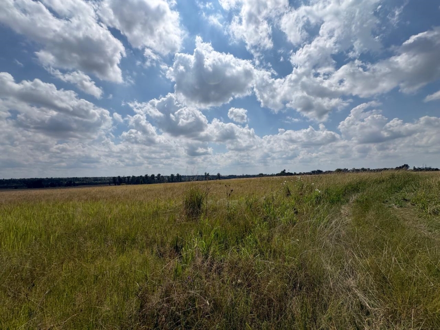 0 Bedroom Property for Sale in Vaalpark Free State